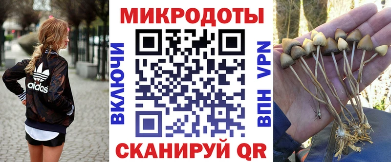 blacksprut ССЫЛКА  Шацк  Псилоцибиновые грибы прущие грибы 