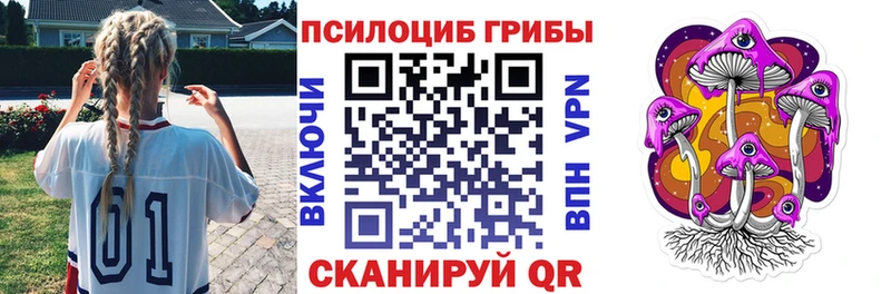 Псилоцибиновые грибы Psilocybine cubensis Шацк